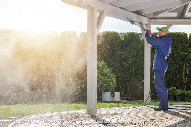Best Sidewalk and Walkway Cleaning  in North Pearsall, TX