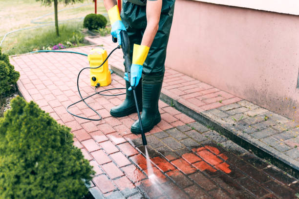 Best Building Exterior Washing  in North Pearsall, TX