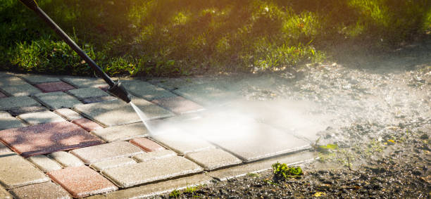 Best Roof Washing  in North Pearsall, TX