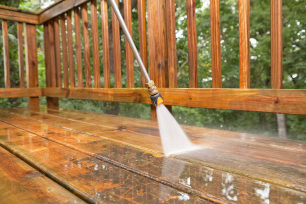 Solar Panel Cleaning in North Pearsall, TX